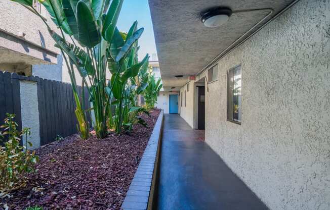 a long hallway with plants on the side of a building