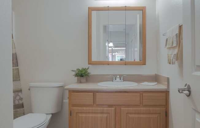 a bathroom with a toilet and a sink and a mirror