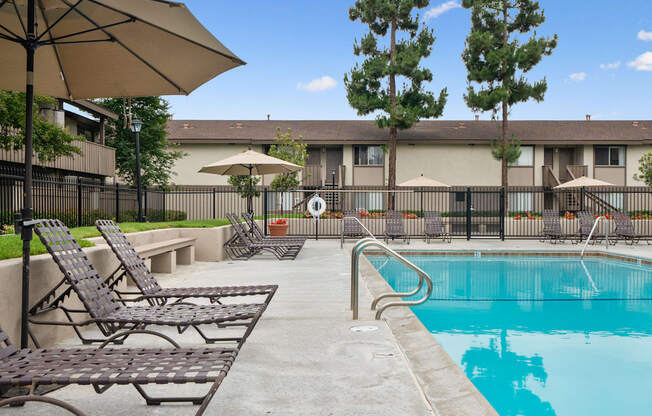 our apartments showcase an unique swimming pool