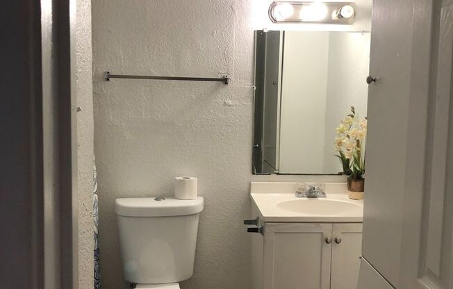 1 bed, 1 bath, 700 sqft, $1,250, Unit 464