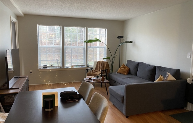 1 bed, 1 bath, 600 sqft, $1,950, Unit 12