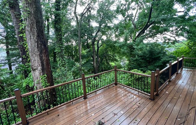 Single Family home in Alexandria- Minutes to Ft Belvior