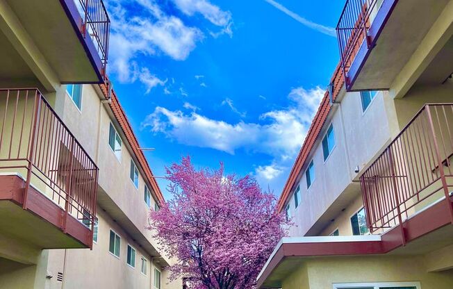 2 beds, 1.5 baths, 895 sqft, $1,545, Unit 175