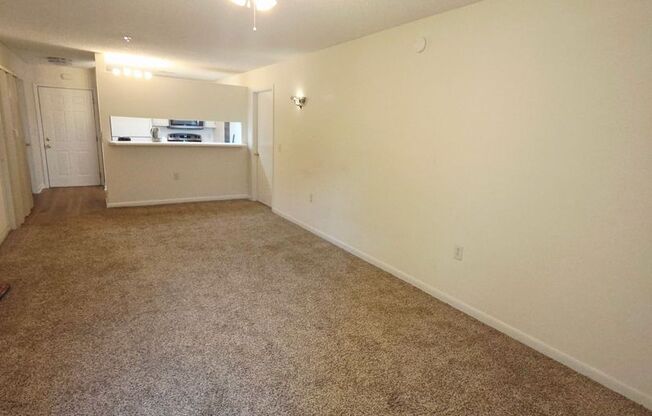 Newly Renovated Rooms for rent!!