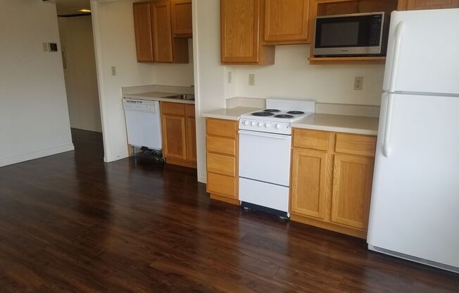 1 bed, 1 bath, 475 sqft, $1,295, Unit 501