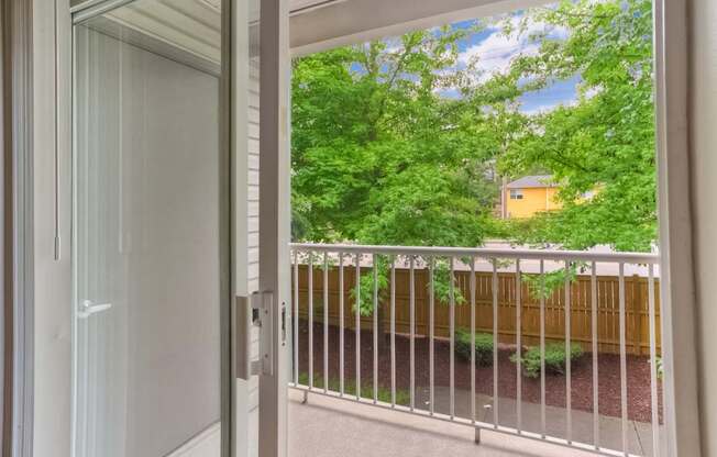 A view from inside a room looking out to a green yard.