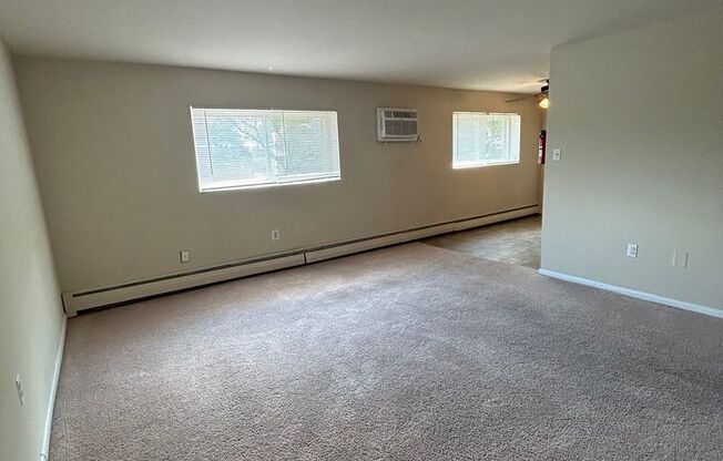 1 bed, 1 bath, $1,250, Unit 207