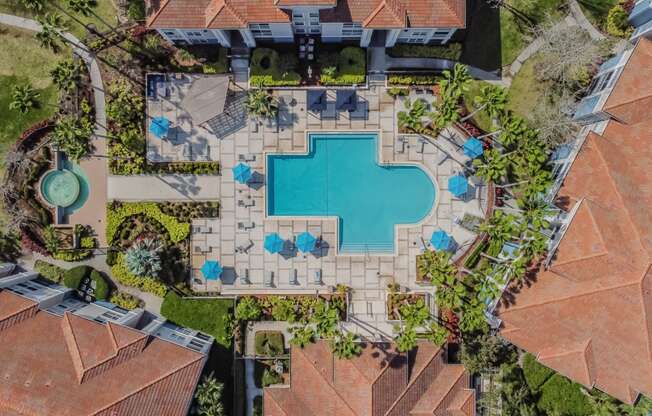 Drone Pool View at The Boot Ranch Apartments, Palm Harbor, 34685