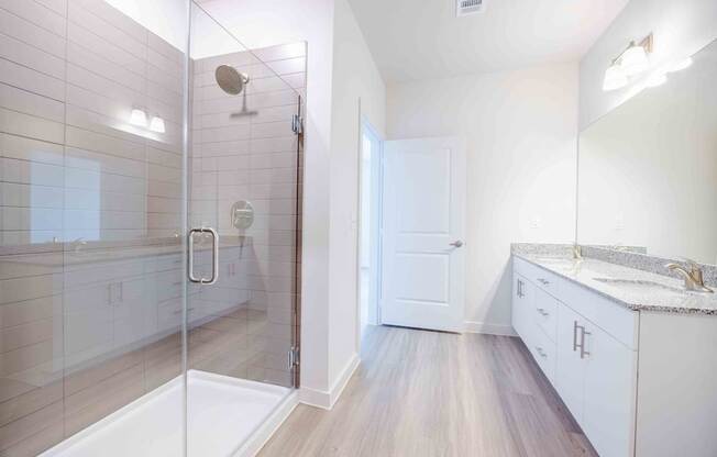A bathroom with a walk-in shower and a sink.
