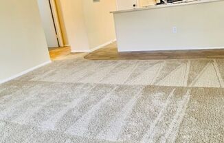 1 bed, 1 bath, 565 sqft, $999, Unit 254