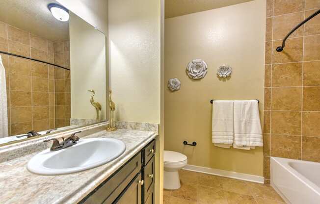 a bathroom with a sink and a toilet and a shower at Hacienda Club, Jacksonville, Florida