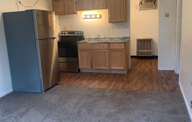 1 bed, 1 bath, $700