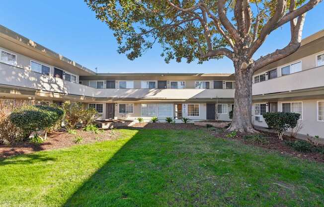 A tree in front of a building with a lawn in the foreground.