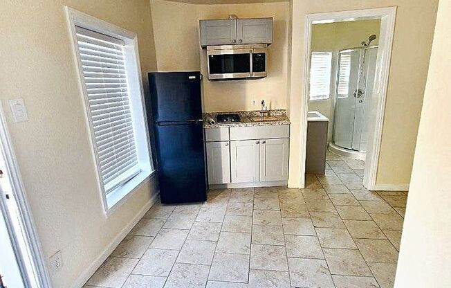 Studio, 1 bath, $1,187