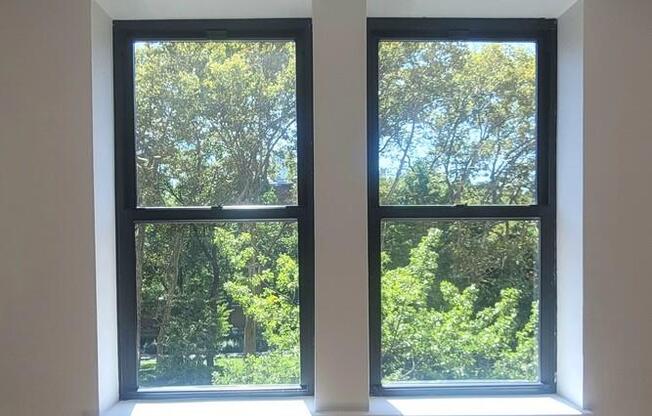 1 bed, 1 bath, $5,500, Unit 4F