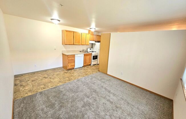 Studio, 1 bath, 450 sqft, $1,075