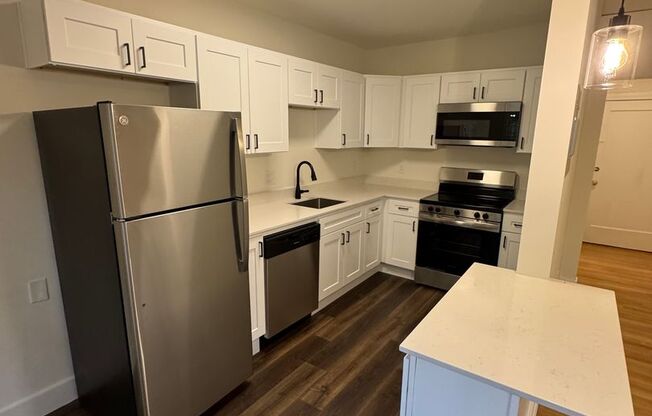 1 bed, 1 bath, 425 sqft, $1,920, Unit 309