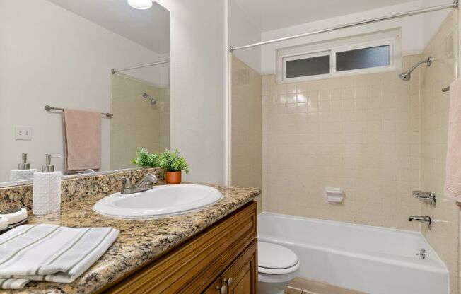 a bathroom with a sink and a toilet and a bath tub