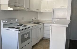 Newly remodeled 1-bedroom apartment near DU