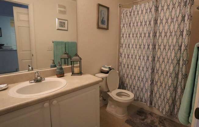 Academy Village Apartments Bathroom