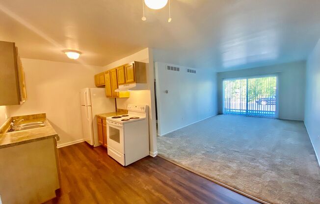1 bed, 1 bath, 750 sqft, $1,145, Unit 302