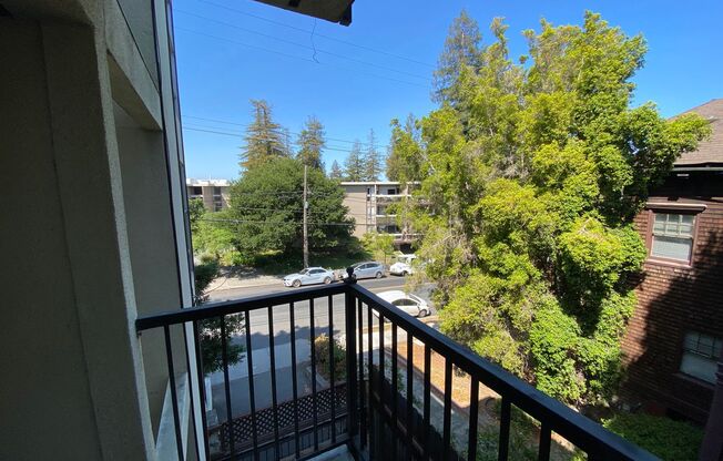 322 Monte Vista -1196