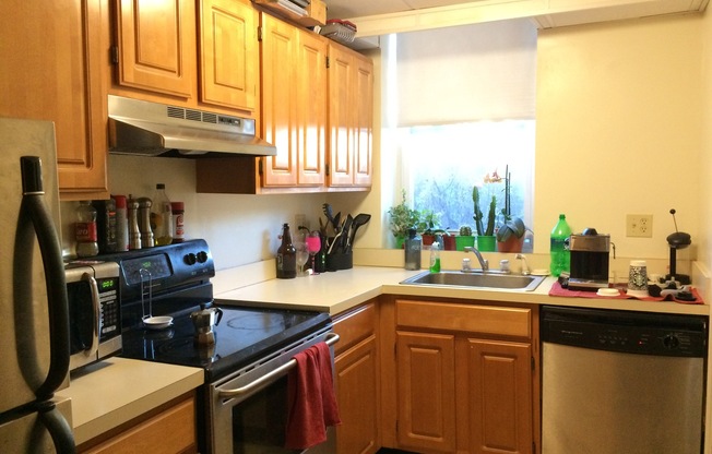 1 bed, 1 bath, 614 sqft, $2,300, Unit 03-B1