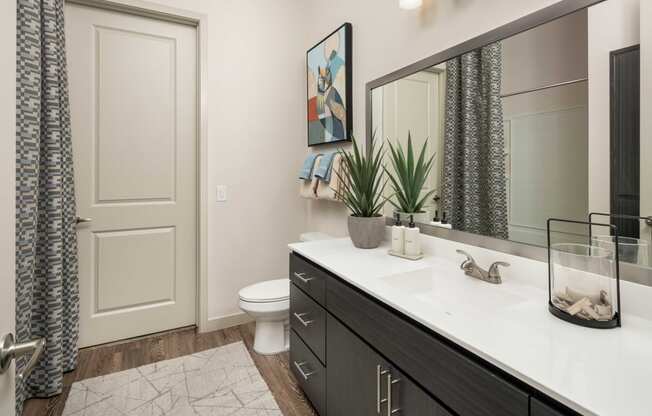 NOVO Broadway Apartments in Tempe, AZ