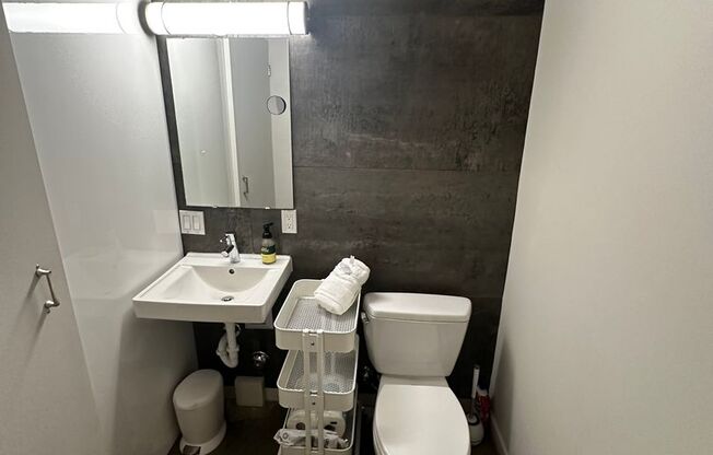 Studio, 1 bath, 244 sqft, $1,495, Unit 113 - Furnished