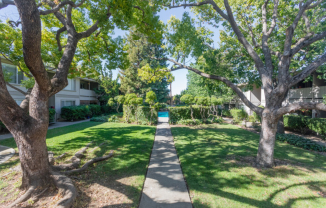 Blossom Hill Apartments