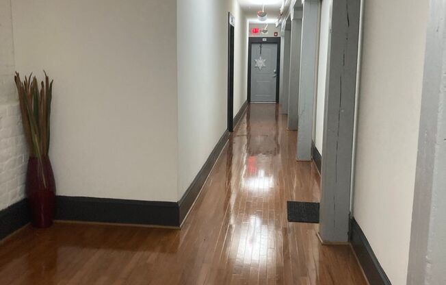 1 bed, 1 bath, 505 sqft, $995, Unit Apt #4