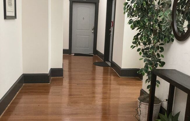 1 bed, 1 bath, 505 sqft, $995, Unit Apt #4