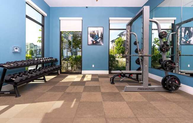 A gym with blue walls and a variety of equipment.