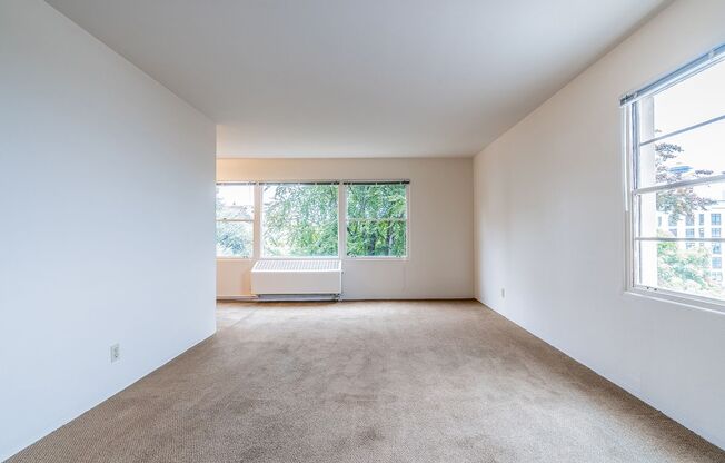 1 bed, 1 bath, 784 sqft, $1,850, Unit 202