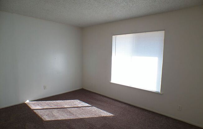 2 beds, 1 bath, $1,200