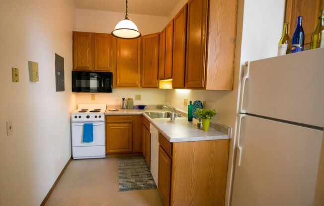 Studio, 1 bath, $1,145