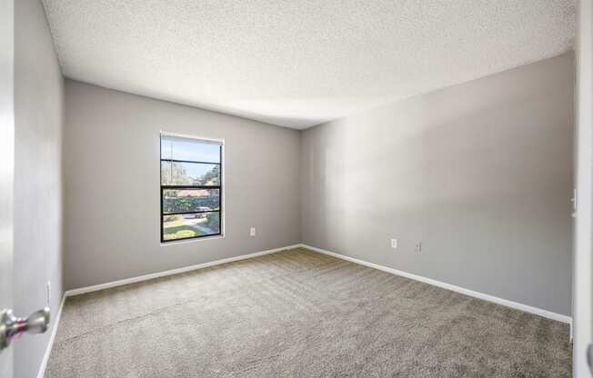 an empty room with carpet and a window