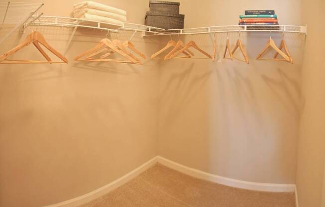 Bristol Village Apartments Unit Large Closets