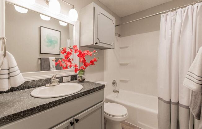 a bathroom with a sink and a toilet and a shower