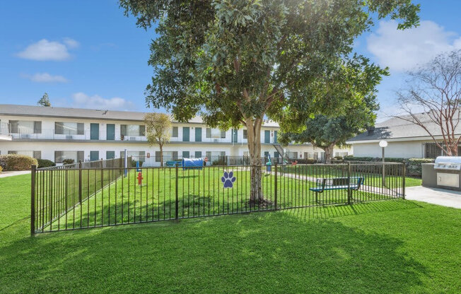 Community Dog Park with Grass, a Fence, & Agility Equipment at Forest Park Apartments in El Cajon, CA.