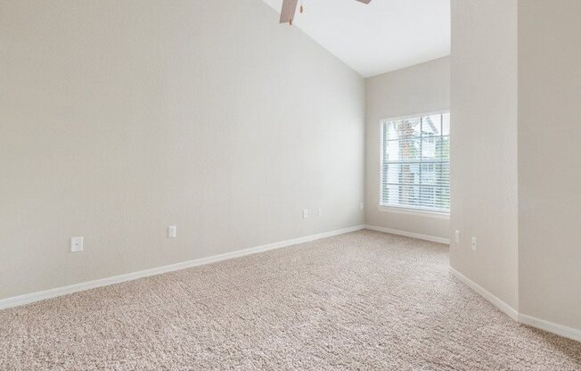 Gallery Photo 3