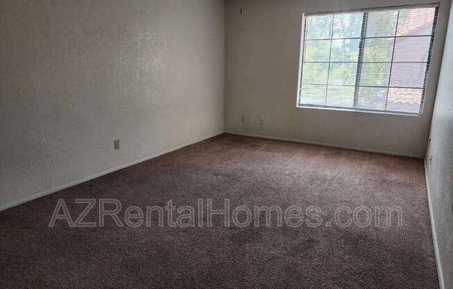 609 E MESQUITE Circle