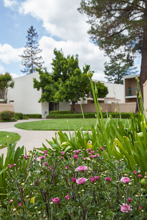 Diablo Pointe | Walnut Creek Luxury Apartments