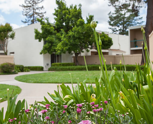 Courtyard With Garden Space at Diablo Pointe, Walnut Creek, 94596