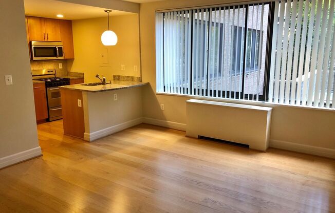 Studio, 1 bath, 440 sqft, $2,275