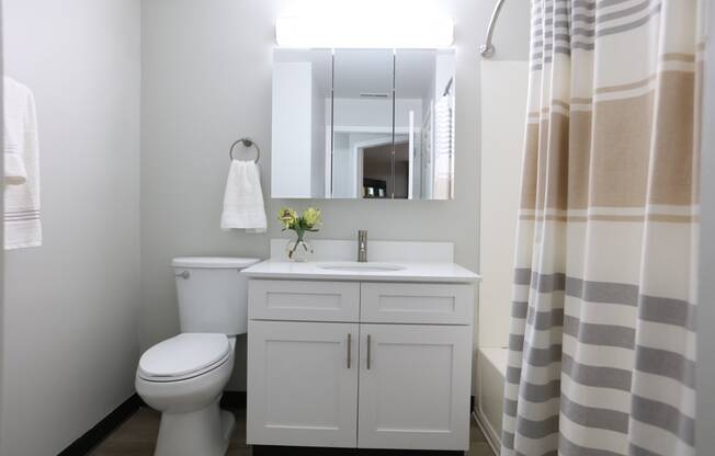 a bathroom with a white sink and toilet and a shower curtain at Evergreen Luxury Apartments, Indiana