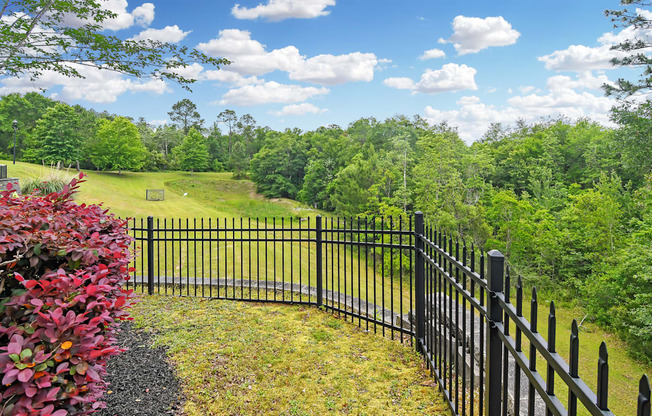 a wrought iron fence with a field behind it