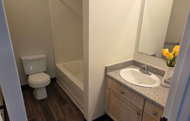 Studio, 1 bath, 395 sqft, $1,370, Unit 701
