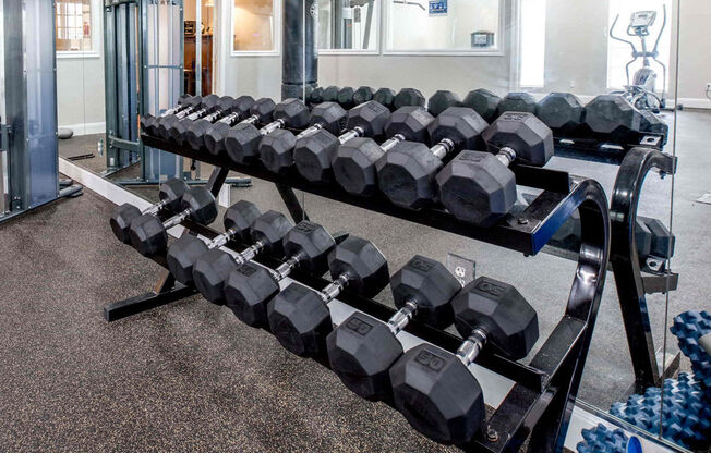 A set of black dumbbells are arranged on a rack in a gym.
