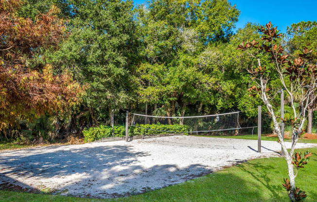 Sand Volleyball Court at Sanford Landing Apartments, Sanford, Florida 32771